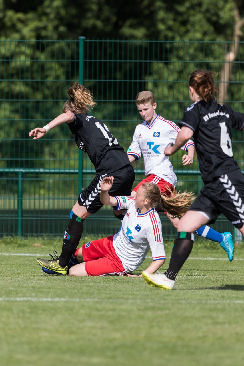 Bild 195 - wBJ Hamburger SV : SV Henstedt Ulzburg : Ergebnis: 4:2